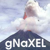 gNaXEL Logo